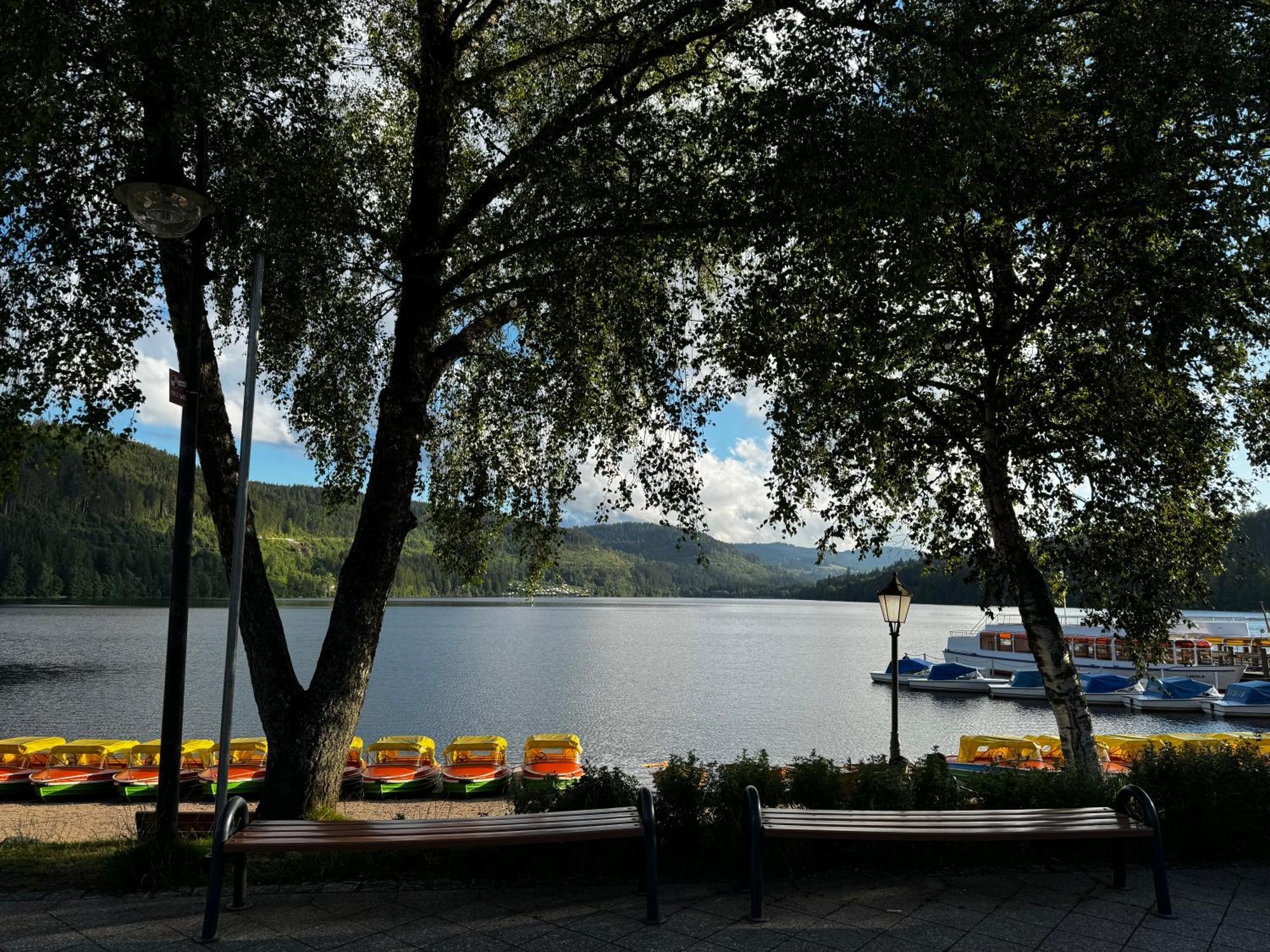 Panoramablick Mit Privatparkplatz, 2 Balkone Und 1,5 Baeder Titisee-Neustadt Exterior foto